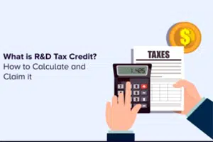 Limitations of Tax Credit Calculator
